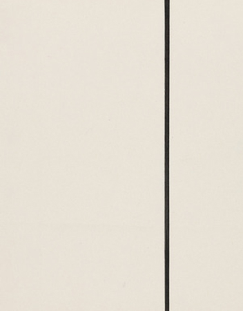 Ellsworth Kelly . MOMA . New York . USA